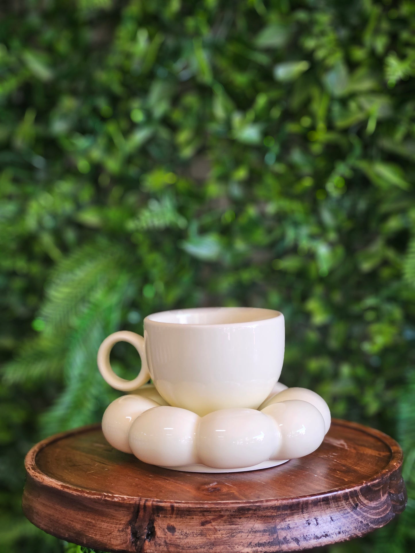 Cup and Saucer Set