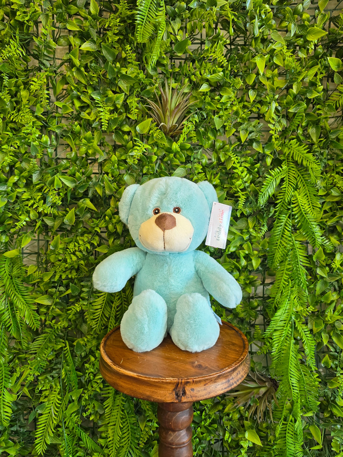 Oliver Teddy Bear