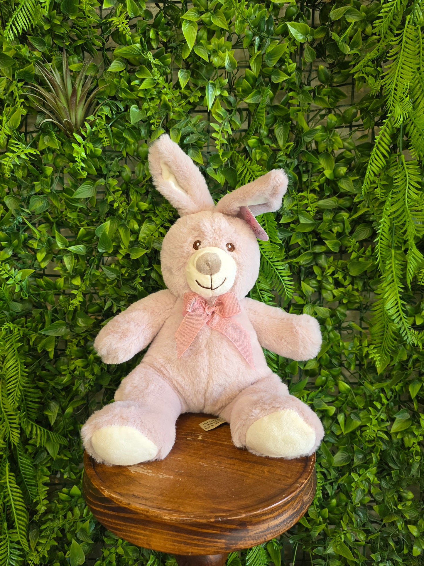Bunny Plush