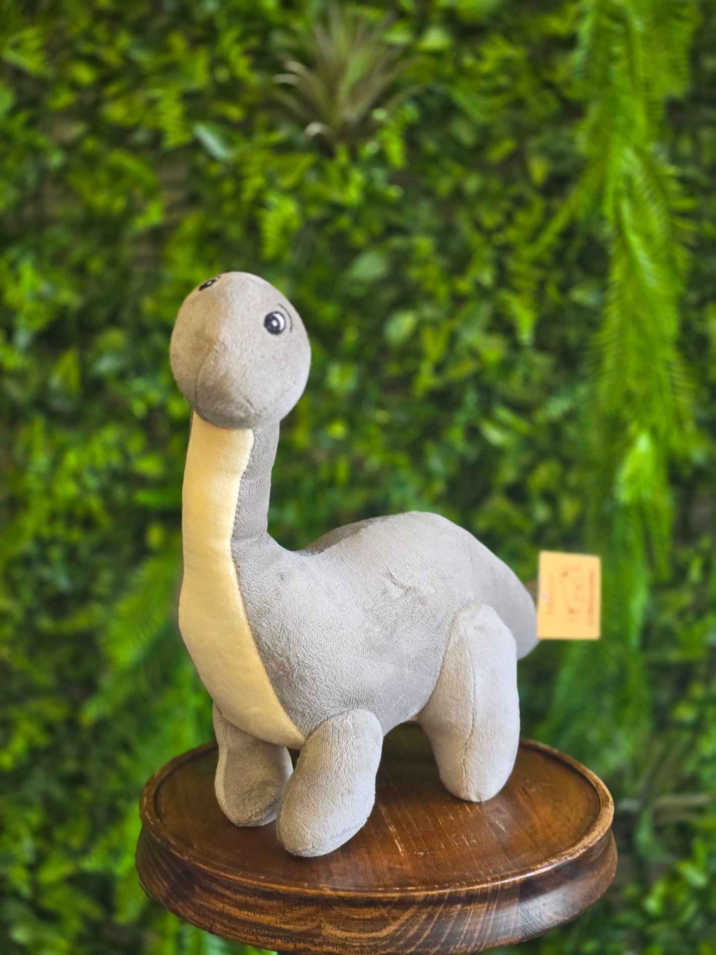 Bronte Dinosaur Plush