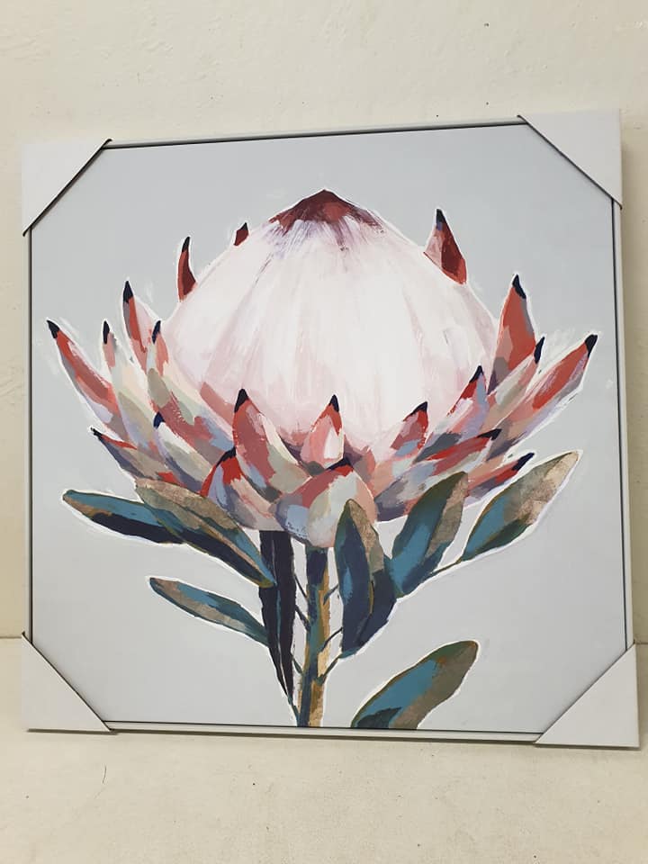 Protea pic single