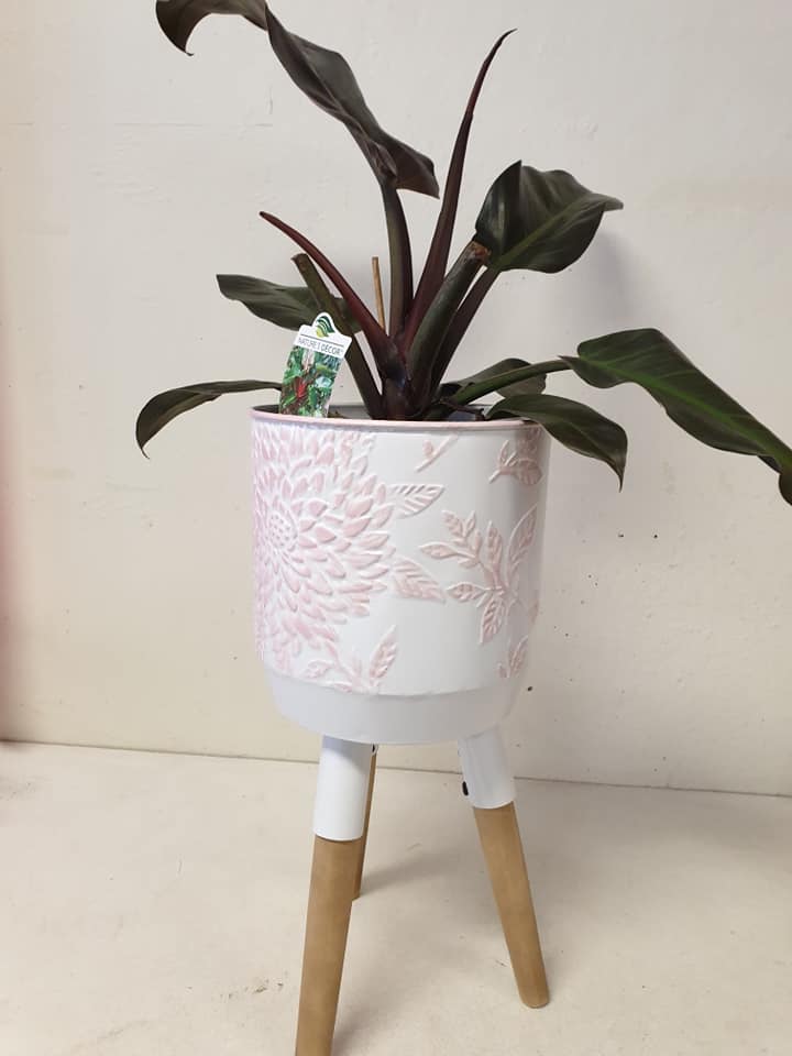 White and pink planter
