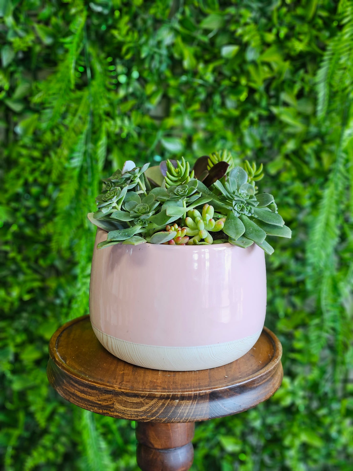 Pink Succulent Pot