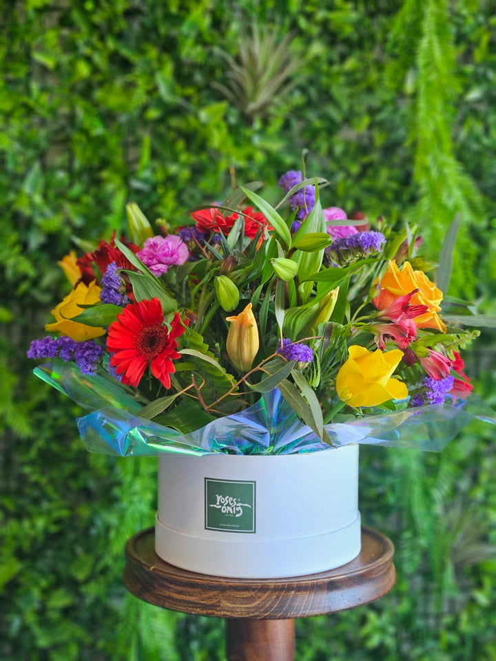 Freckles Flowers Wagga Wagga