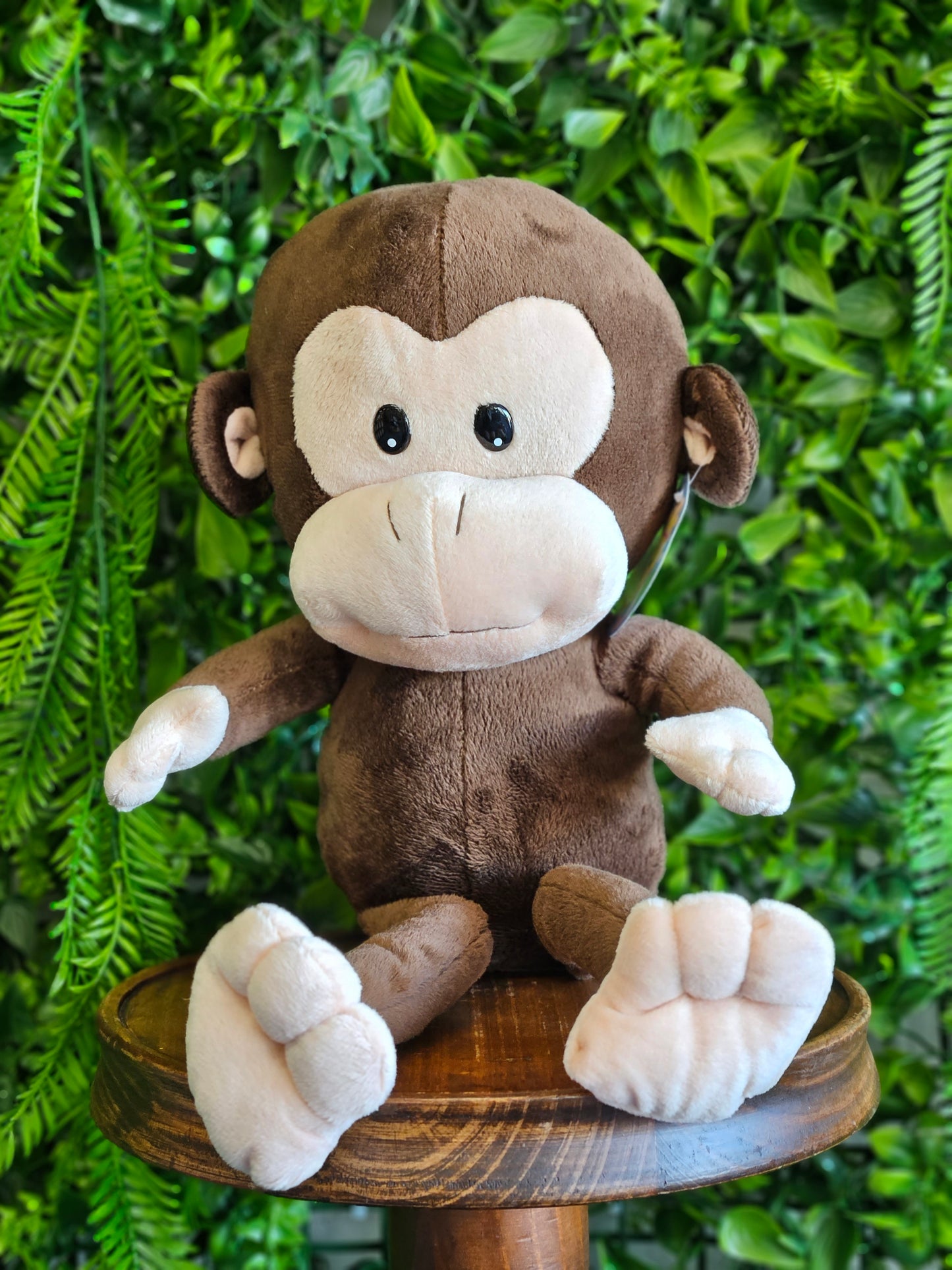 Medium Monkey Plush Toy
