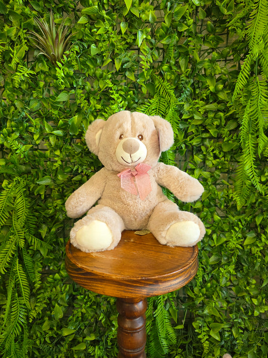 Teddy Bear Plush
