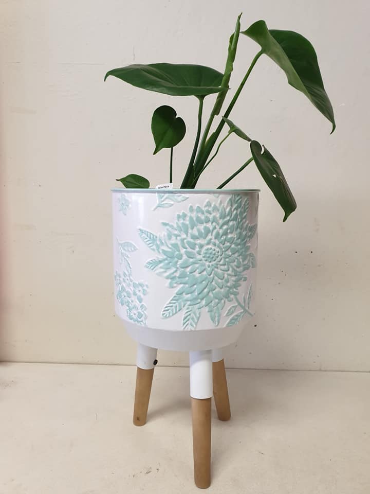 White and teal planter